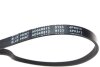 Ремень генератора поликлиновый BLUE PRINT AD04R813 (фото 2)