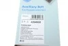 Ремень генератора(приводной) BLUE PRINT AD04R830 (фото 6)