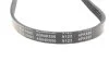 Ремень поликлиновый(приводной) BLUE PRINT AD04R850 (фото 2)