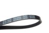Ремень генератора(приводной) BLUE PRINT AD04R890 (фото 2)