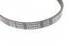 Ремень генератора(приводной) BLUE PRINT AD04R925 (фото 4)