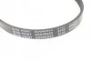 Ремень генератора(приводной) BLUE PRINT AD04R925 (фото 4)