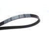 Ремень генератора поликлиновый BLUE PRINT AD04R946 (фото 2)