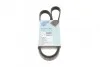 Ремень генератора поликлиновый BLUE PRINT AD05R1138 (фото 1)