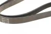 Ремень генератора поликлиновый BLUE PRINT AD05R1138 (фото 3)