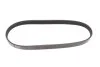 Ремінь генератора Subaru Forester/Impreza/Legacy/Outback 89- (5PK685) BLUE PRINT AD05R685 (фото 1)