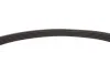Ремінь генератора Subaru Forester/Impreza/Legacy/Outback 89- (5PK685) BLUE PRINT AD05R685 (фото 3)