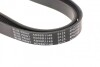 Ремень генератора(приводной) BLUE PRINT AD06R1148 (фото 3)