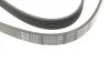 Ремень поликлиновый BLUE PRINT AD06R1285 (фото 3)