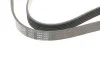 Ремень поликлиновый BLUE PRINT AD06R1285 (фото 4)
