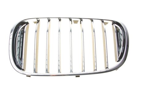 Решетка декор Л Ю BMW 51138065539