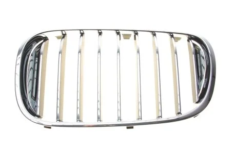 Решетка декор Л Ю BMW 51138065539