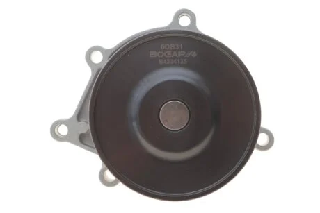Помпа води BOGAP B4234135