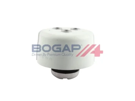 Кріплення двигуна BOGAP C1911109