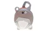Комплект масляной помпы муфты дифференциала BORGWARNER BorgWarner DS2002774 (фото 5)