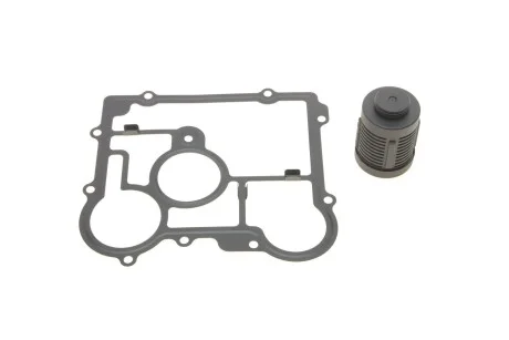 Ремкомплект масляного фильтра муфты дифференциала BORGWARNER BorgWarner DS2006273