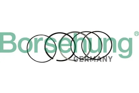 Коплект поршневих кілець Borsehung B10369