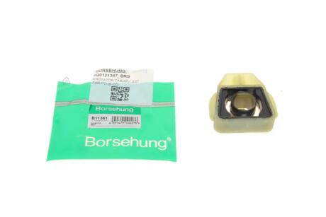 Подвеска, радиатор Borsehung B11361
