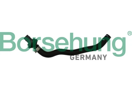 Соединительный шланг с обратным клапаном (OE) Borsehung B11971