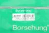 Сальник BORSEHUNG Borsehung B12191 (фото 5)