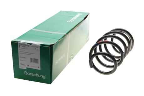 Пружина ходовой части (OE) Borsehung B12623