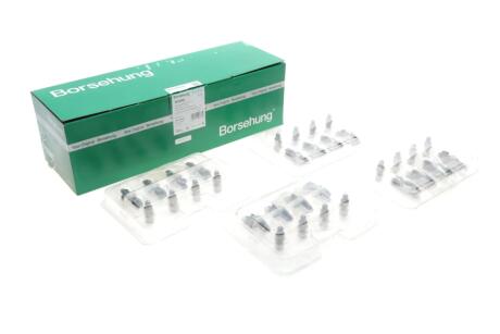 Гідрокомпенсатор Borsehung B18205