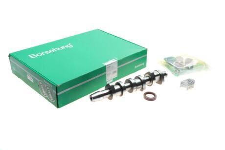 Распредвал двигателя к-кт Borsehung B18665