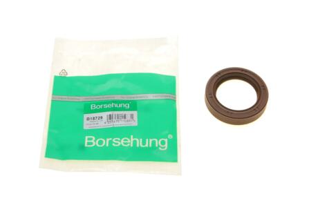 Сальник Borsehung B18729