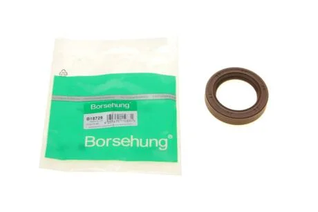 Сальник BORSEHUNG Borsehung B18729