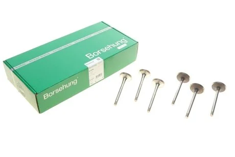 Впускной клапан BORSEHUNG Borsehung B18765