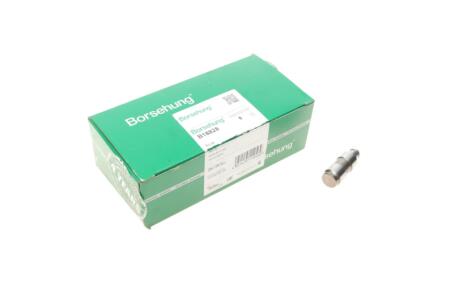 Гідрокомпенсатор Borsehung B18828