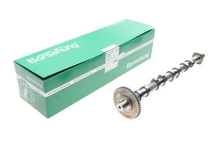 Распредвал двигателя Borsehung B18980