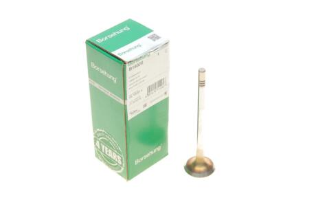 Клапан Borsehung B19020