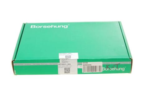 Клапан (впуск/випуск) VW Caddy IV/Golf VI/Touran 1.2TSI 15- (12 к-кт) (OE VAG) Borsehung B19160