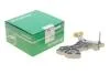 Натяжитель цепи ГРМ BORSEHUNG Borsehung B1T010 (фото 1)