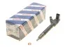 Инжектор BOSCH 0 445 110 181 (фото 1)