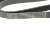 Поликлиновый ремень BOSCH 1987945505 (фото 4)
