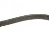 Ремень поликлиновый(приводной) 6PK1038 BOSCH 1 987 946 000 (фото 3)