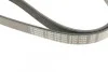 Ремень поликлиновый(приводной) 6PK1038 BOSCH 1 987 946 000 (фото 5)