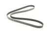 Ремень поликлиновый(приводной) 6PK1650 BOSCH 1 987 946 002 (фото 2)