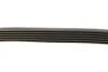 Ремень поликлиновый(приводной) 6PK751 BOSCH 1 987 946 006 (фото 3)