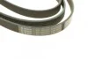Ремень поликлиновый(приводной) 6PK2415 BOSCH 1 987 946 016 (фото 3)