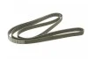 Ремень поликлиновый(приводной) 6PK2415 BOSCH 1 987 946 016 (фото 5)