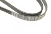 Ремень поликлиновый(приводной) 6PK1635 BOSCH 1 987 946 019 (фото 5)