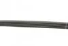 Ремень поликлиновый(приводной) 5PK813 BOSCH 1 987 946 026 (фото 3)