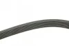 Ремень поликлиновый(приводной) 6PK1755 BOSCH 1 987 946 030 (фото 3)