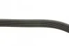 Ремень поликлиновый(приводной) 7PK1088 BOSCH 1 987 946 032 (фото 3)