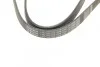 Ремень поликлиновый(приводной) 6PK1775 BOSCH 1 987 946 035 (фото 5)