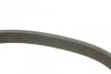 Ремень поликлиновый(приводной) 6PK1600 BOSCH 1 987 946 060 (фото 3)