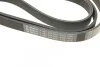 Ремень поликлиновый(приводной) 6PK1600 BOSCH 1 987 946 060 (фото 5)